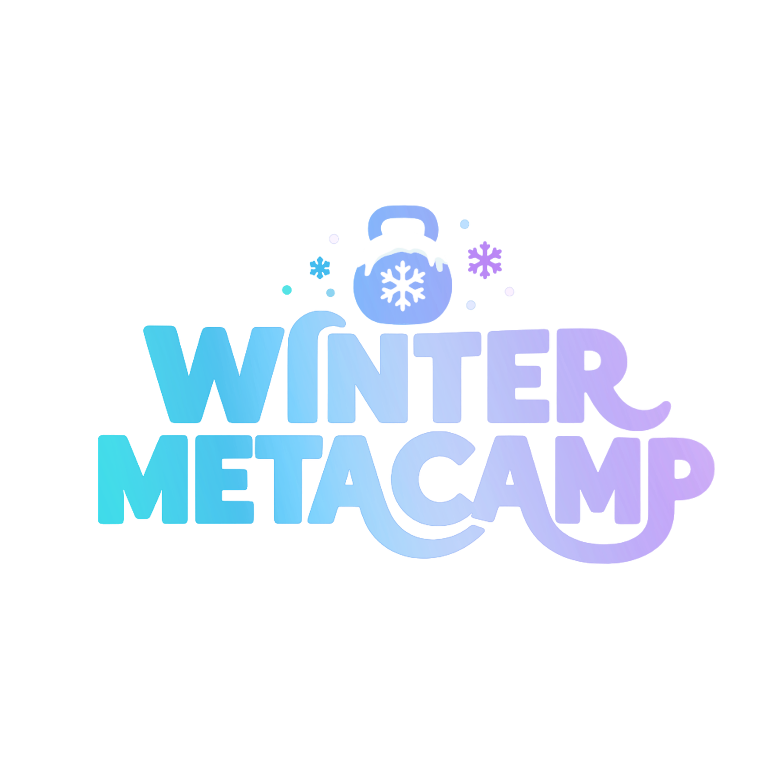 Meta Winter Camp